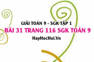 Giải bài 31 trang 116 SGK Toán 9 tập 1